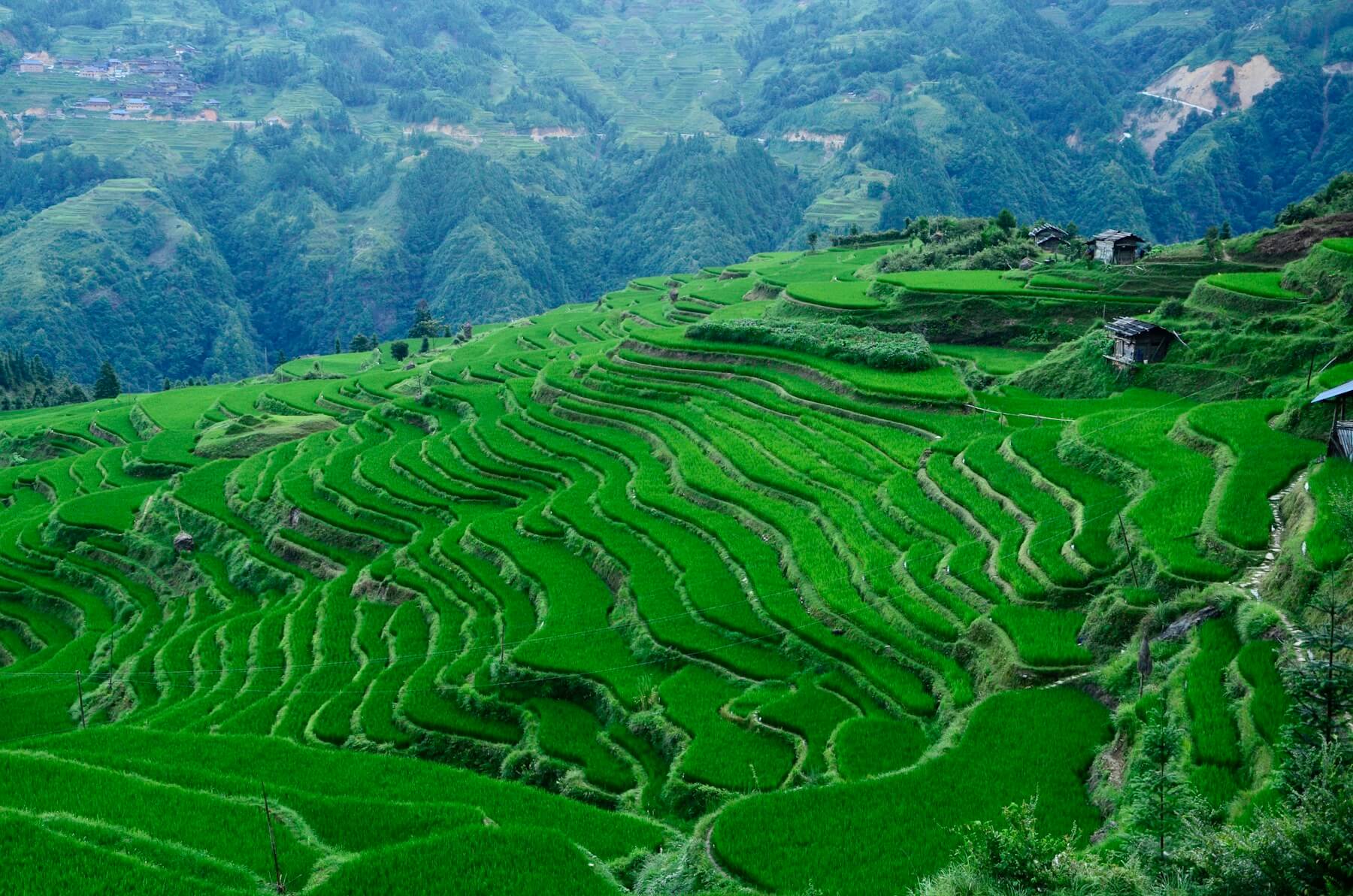 秦岭山地农业生态种植基地